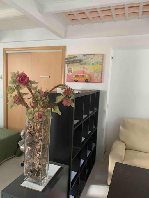 Apartament Studio-loft Con Terraza Madrid