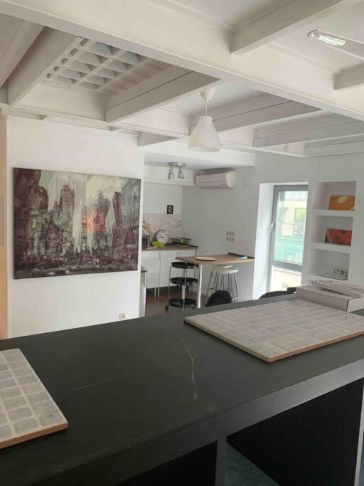 Studio-loft Con Terraza Apartament *